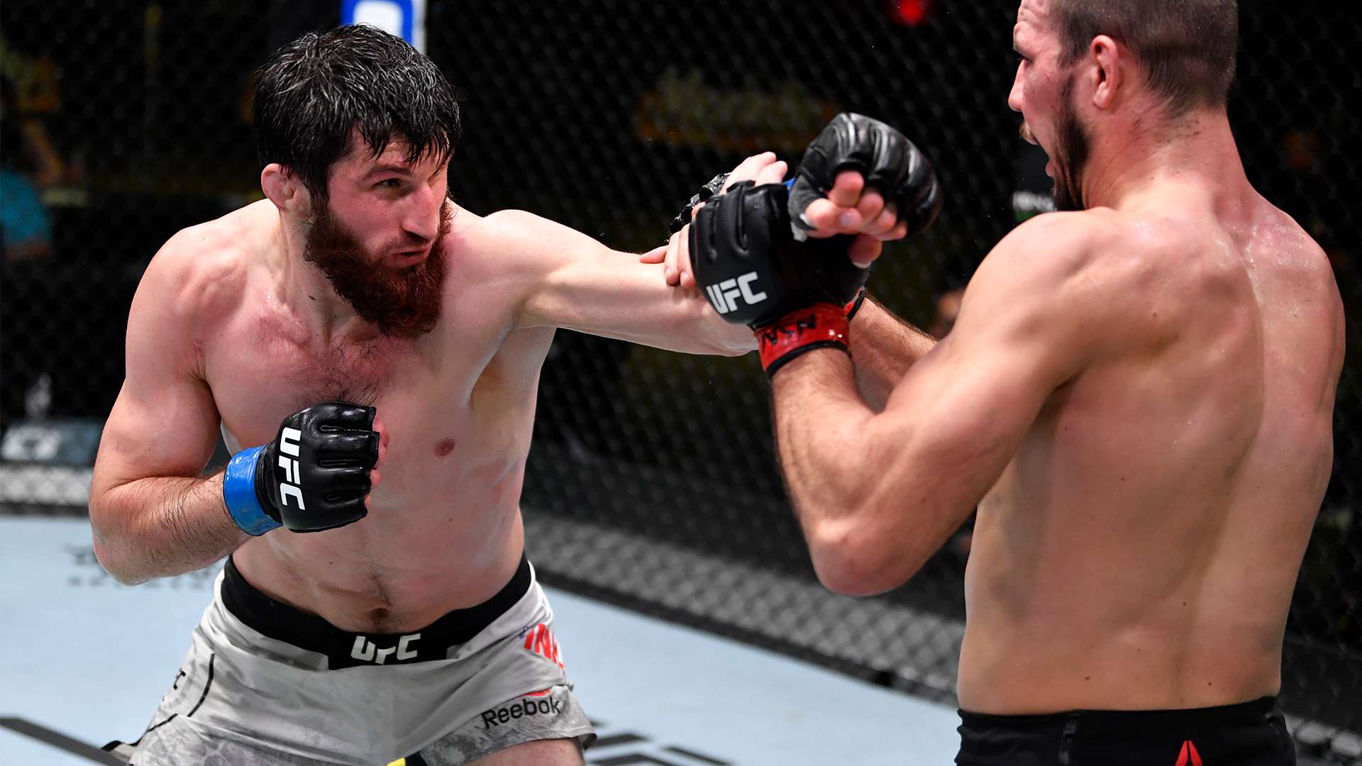 是无数个日 是无数个日